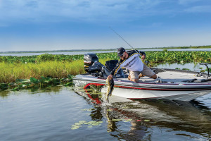 Fotogaléria NITRO Z21