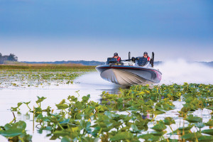 Fotogaléria NITRO Z21