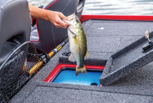 Fotogaléria NITRO Z19