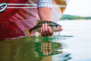 Fotogaléria TRACKER  Pro 170