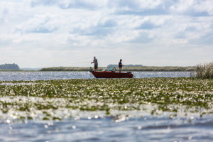 Fotogaléria Finval 475 Evo DC JS